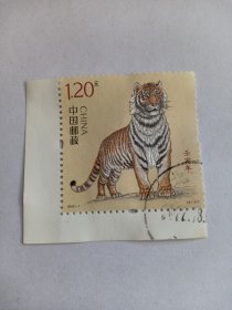 中国邮票 生肖虎 1.20元 虎 壬寅年 2022-1（2-1） 生肖邮票 带白边 虎年邮票 老虎