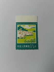 中国邮票 1977年工农业生产建设图案邮票 1.5分 1½分 畜牧业 牧羊图 骑马牧羊 放牧 羊群 影写版 新票未使用，带白边