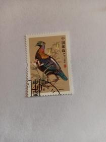 邮票 普31中国鸟 绿尾虹雉 40分 盖有纪念戳“中国 2006.11”