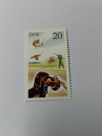 东德邮票 德国邮票 20Pfg 1977年狩猎 雉鸡 猎枪打猎 猎狗叼回雉鸡 新票未使用
