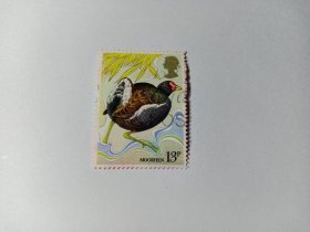 英国邮票 13P 1980年保护鸟类100周年 黑水鸡 红冠水鸡