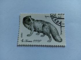 苏联邮票 4k 1980年毛皮动物 北极狐 1980年发行