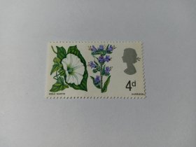 英国邮票 4d 1967年鲜花 花卉 盛开的花朵 紫色的花朵 喇叭花 新票未使用