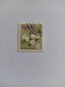 乌干达邮票 40C 1969年鲜花  Ipomoea spathulata