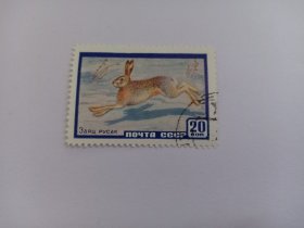 苏联邮票 20K 1960年苏联动物 野兔 兔子 生肖兔