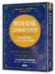 预售【外图台版】解开伤痛的20个超凡智慧：你以为的谷底才是人生真正的开始 / 史蒂芬?莱德 三采文化