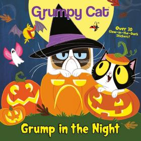 现货 英文原版 Grump in the Night (Grumpy Cat) 夜晚的Grump（脾气暴躁的猫）