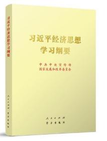 习近平经济思想学习纲要（16开）