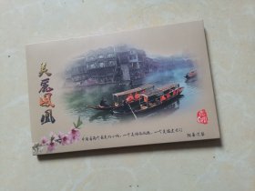 美丽凤凰 明信片(10张)
