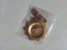 农技推广荣誉证章