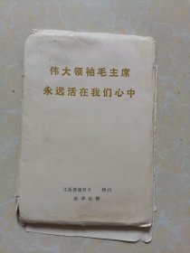 伟大领袖毛主席永远活在我们心中 63张