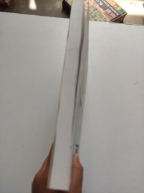 金融危机中的巴塞尔新资本协议：挑战与改进