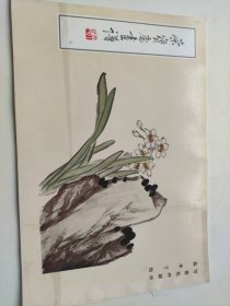 荣宝斋画谱9：写意花卉部分