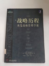 战略历程：纵览战略管理学派