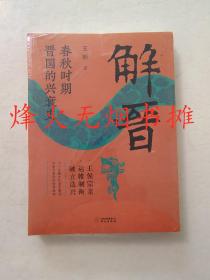 解晋：春秋时期晋国的兴衰史（全新正版，塑封未阅）