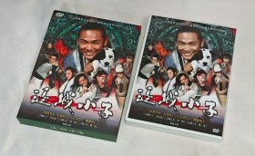 剧集、边城小子/飞天潜龙、8碟DVD9、台湾正版、市售精装、古装武侠系列、杜德伟、赵柯、陈德容、严宽、吴孟达、恬妞、王刚、陈龙、沈保平、韩振华