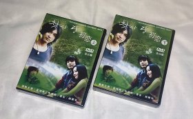 剧集 爱的初恋/初恋 2碟DVD9 台湾正版 全新未拆 韩国电视连续剧 金知秀、申成雨、曹安、赵显宰