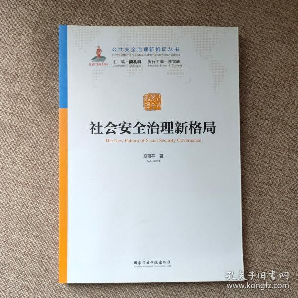 社会安全治理新格局/公共安全治理新格局丛书