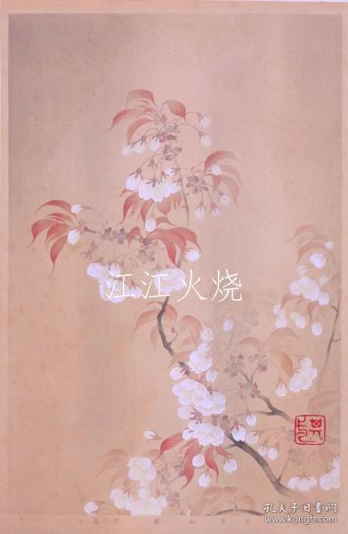竹下弘编/琳派百华谱 春之卷 其一笔：山楼/百花风春卷第 1 部：山樱[版画][CWZW]