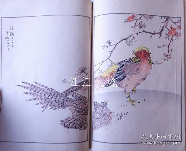 沼田荷舟 着/花鸟画式 完/花鸟画仪式完成[版画][CWZW]