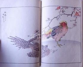 沼田荷舟 着/花鸟画式 完/花鸟画仪式完成[版画][CWZW]