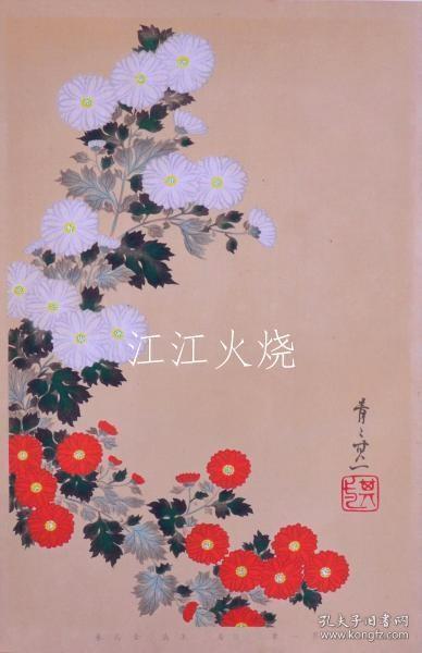 竹下弘编/琳派百华谱 冬之卷 其一笔：白菊、朱菊/凛派百花风冬野真希 Part 1：白菊花、红菊花[版画][CWZW]