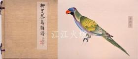 西泽笛亩 编/柳里恭鸟类谱/柳泽清鸟[版画][CWZW]