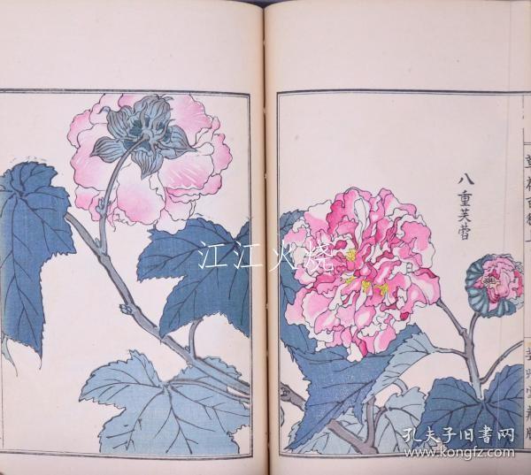 幸野楳嶺, 幸野西湖 画/草花百种 元版 （上・下・贰篇上・贰篇下）全4册/百种花原版（上、下、二上、二下）全4册[版画][CWZW]