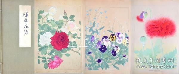 千种扫云/洋草花谱 Yoso Kafu/约索卡夫[版画][CWZW]