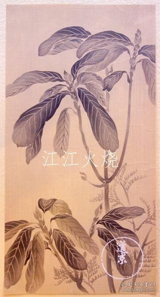 竹下弘 编/琳派百华谱 (25) 分卖/莲派百化风 (25) 单独[版画][CWZW]