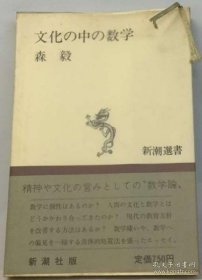 文化の中の数学 文化中的数学
