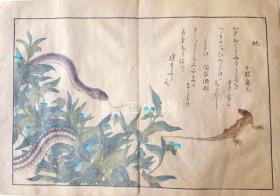 喜多川歌麿/虫类画谱　全 （14图）/所有昆虫（图 14）[版画][CWZW]