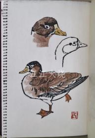 井伏鱒二/定本屋根の上のサワン/标准屋顶上的萨万[版画][GSPB]