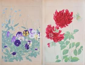 千种扫云/洋草花谱 Yoso Kafu/约索卡夫[版画][CWZW]