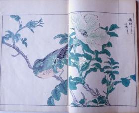 沼田荷舟 着/花鸟画式 完/花鸟画仪式完成[版画][CWZW]