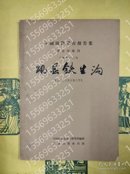 鞏県鉄生溝（中国田野考古報告集考古学専刊丁種第十三号） JQBZ夏柳9617湖地 鞏県鉄生溝（中国田野考古報告集考古学専刊丁種第十三号）