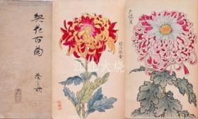 长谷川契华 着/契花百菊 卷之一・二（ 明治时代）/百菊角花牧野一和2（明治时代）[版画][CWZW]