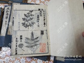 大和本草 全10册揃 (16卷8册 附录2卷1册 诸品图3卷1册)