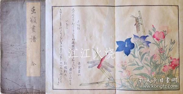 喜多川歌麿/虫类画谱　全 （14图）/所有昆虫（图 14）[版画][CWZW]