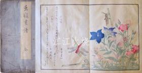 喜多川歌麿/虫类画谱　全 （14图）/所有昆虫（图 14）[版画][CWZW]