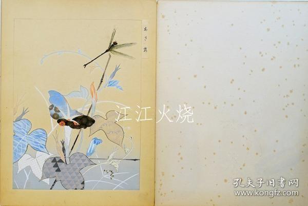 不明/夏の彩华/夏绫香[版画][CWZW]