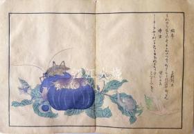 喜多川歌麿/虫类画谱　全 （14图）/所有昆虫（图 14）[版画][CWZW]