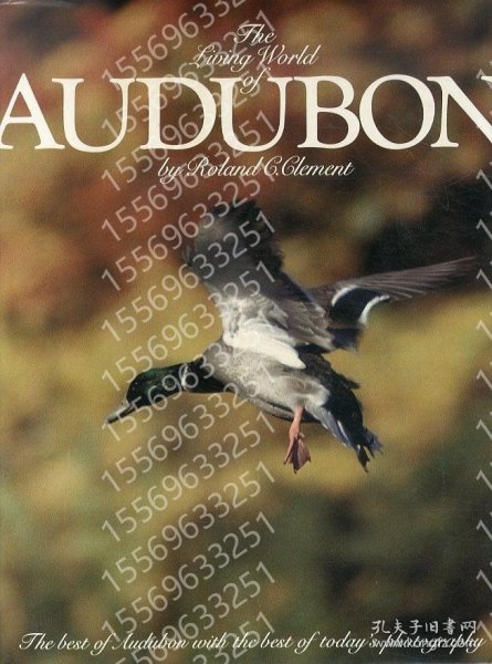 Living World of Audubon, UBMF瀲辰0539澄灪