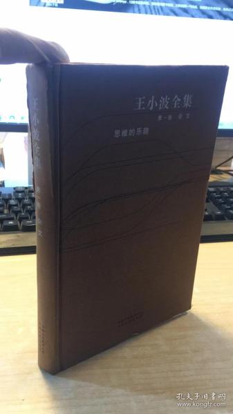 王小波全集（第一卷 杂文）：思维的乐趣