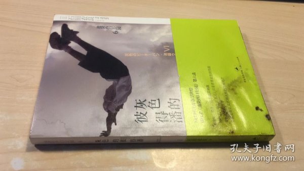 灰色的彼得潘：池袋西口公园6 品相如图