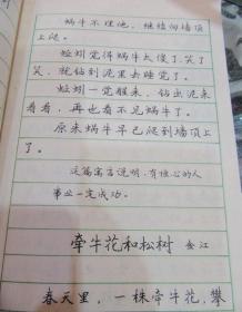 名家寓言钢笔字帖（馆藏）一版一印