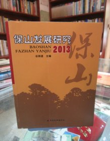 保山发展研究 2013