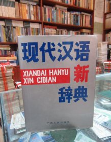 现代汉语新词典
