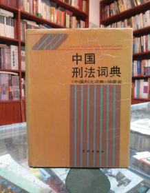 中国刑法词典