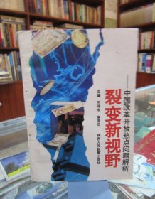 裂变新视野 中国改革开放热点问题解析